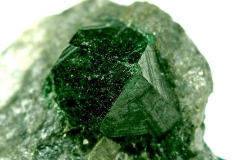 1_20150812__9683496356