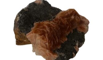 Galen Taşı Resimleri