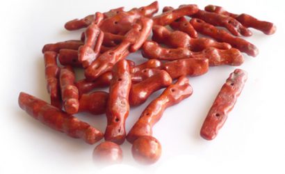 Hayat Ağacı Resimleri