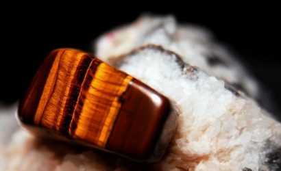 Kaplan Gözü Resimleri