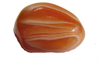 Karnelyan Resimleri