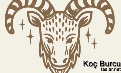 koc-burcu