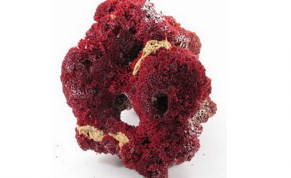 Mercan Taşı Resimleri