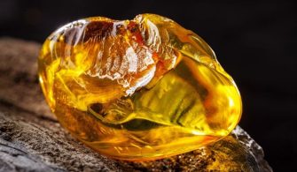 Kehribar ne renktir?