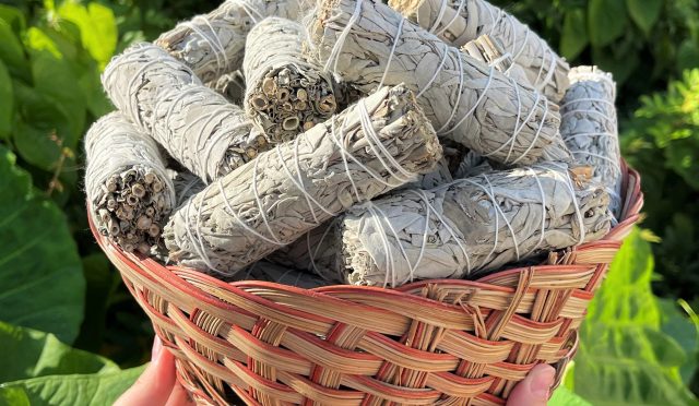 Adaçayı Tütsüsü Nedir ne işe yarar