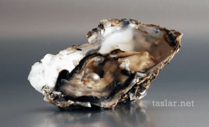Gerçek inci nasıl anlaşılır?